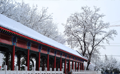 文化標(biāo)識(shí)：校名題寫 / ?；赵O(shè)計(jì)