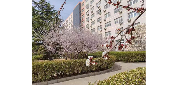 北京經(jīng)貿職業(yè)學院 - 最美大學