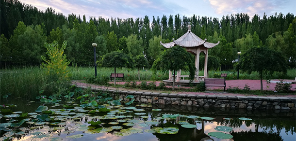 北京經(jīng)濟技術職業(yè)學院 - 最美大學
