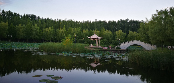 北京經(jīng)濟技術職業(yè)學院 - 最美大學