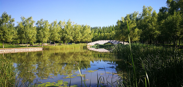 北京經(jīng)濟技術職業(yè)學院 - 最美大學