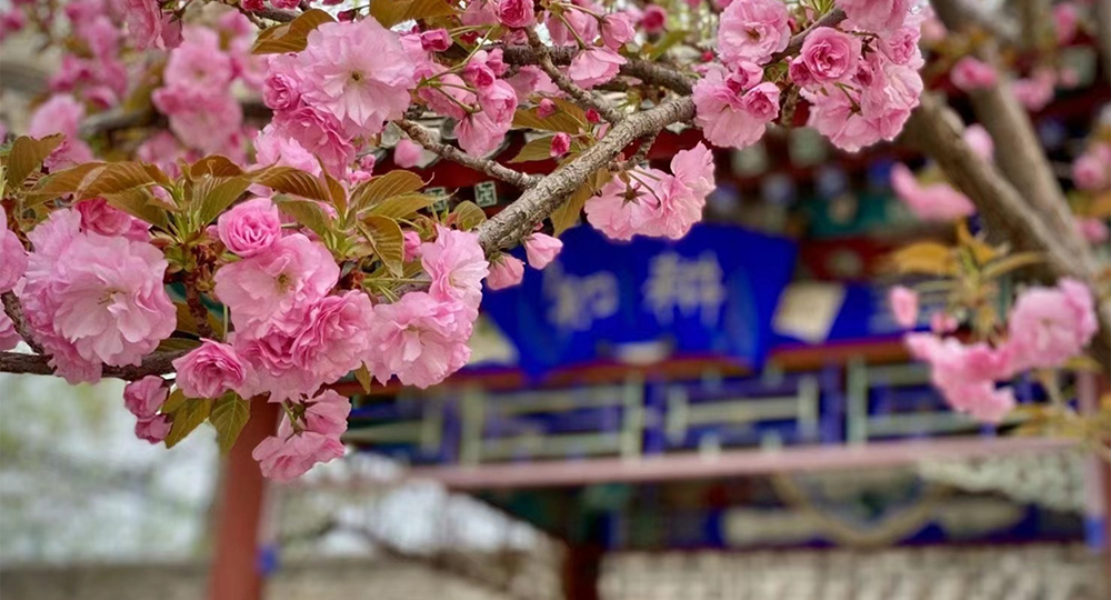 時(shí)光匆匆，歲月如歌！——珍惜自己最美好的時(shí)光，珍惜時(shí)下，放肆而不張揚(yáng)的青春年華。