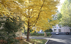 北京京北職業(yè)技術(shù)學院 - 我的大學