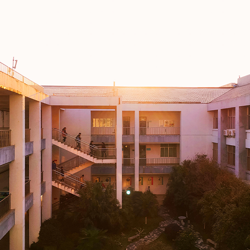 我的大學(xué)