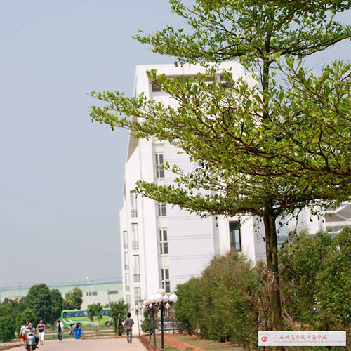 大學(xué)文化