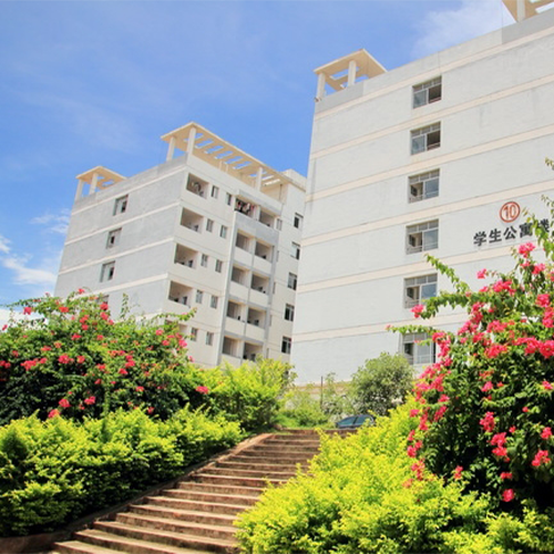 最美大學(xué)
