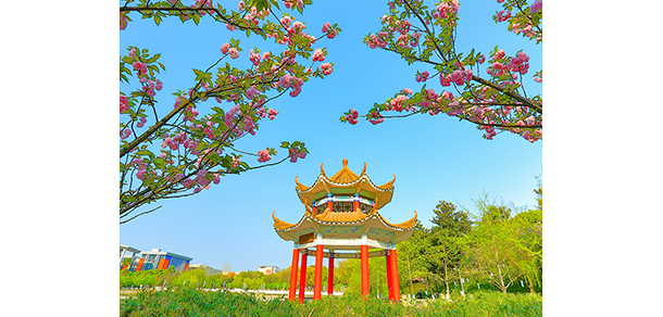 2022年招生分數(shù)