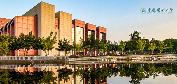 我的大學-大學志