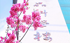 歷史沿革（概）校史
