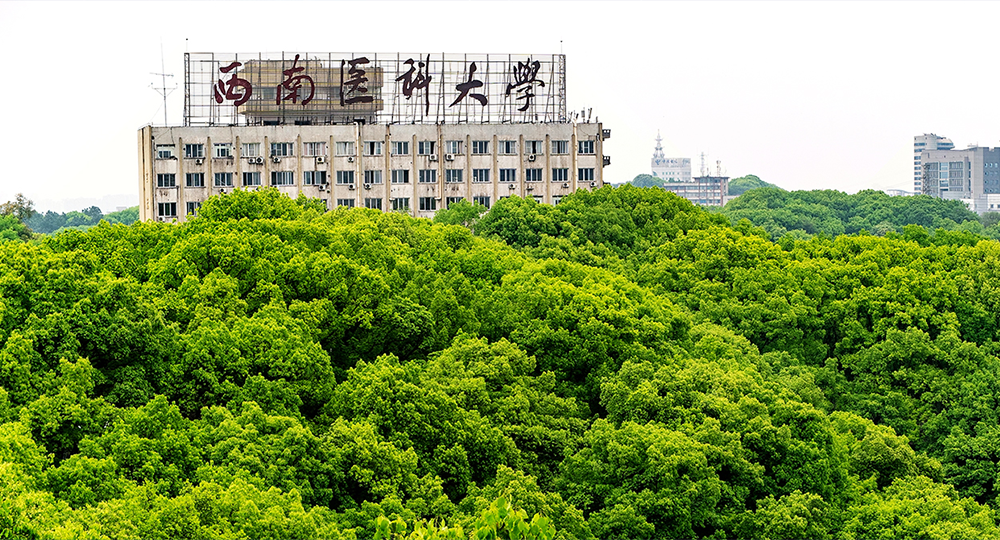 時(shí)光匆匆，歲月如歌！——珍惜自己最美好的時(shí)光，珍惜時(shí)下，放肆而不張揚(yáng)的青春年華。