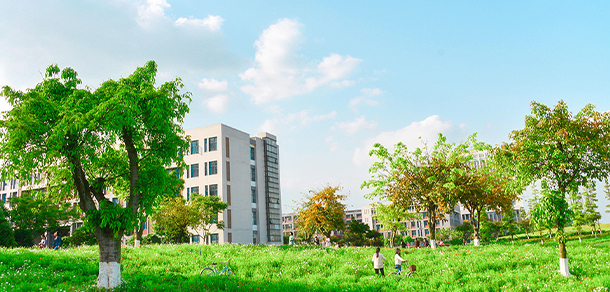 西南石油大學