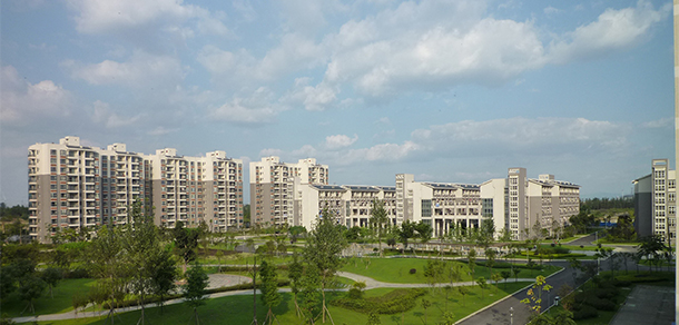 我的大學(xué)-大學(xué)志