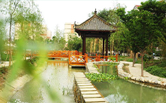 文化標(biāo)識(shí)：校名題寫 / ?；赵O(shè)計(jì)