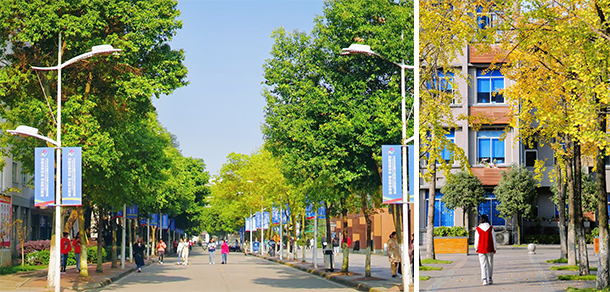 成都農業(yè)科技職業(yè)學院