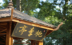 歷史沿革（概）校史