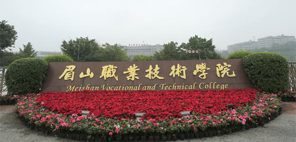 我的大學-大學志