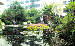 歷史沿革(概)校史