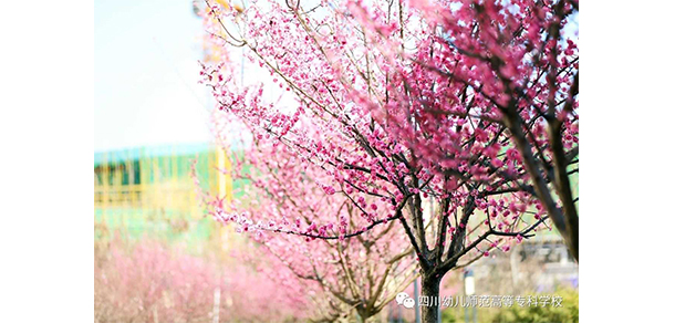 四川幼兒師范高等?？茖W(xué)校