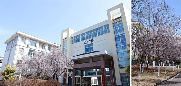 我的大學-大學志