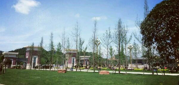 我的大學-大學志