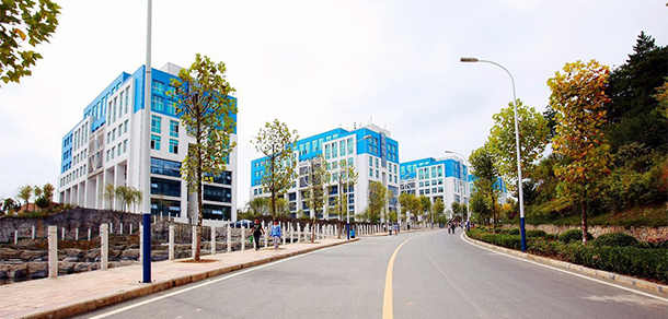 我的大學(xué)-大學(xué)志
