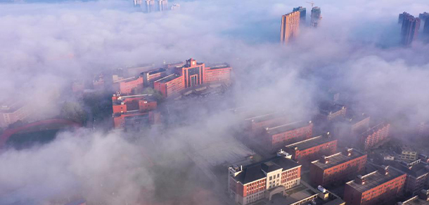 我的大學-大學志