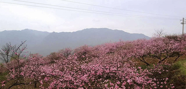 黔南民族職業(yè)技術學院 - 最美大學