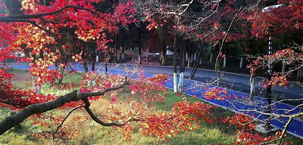 黔南民族職業(yè)技術學院 - 最美大學