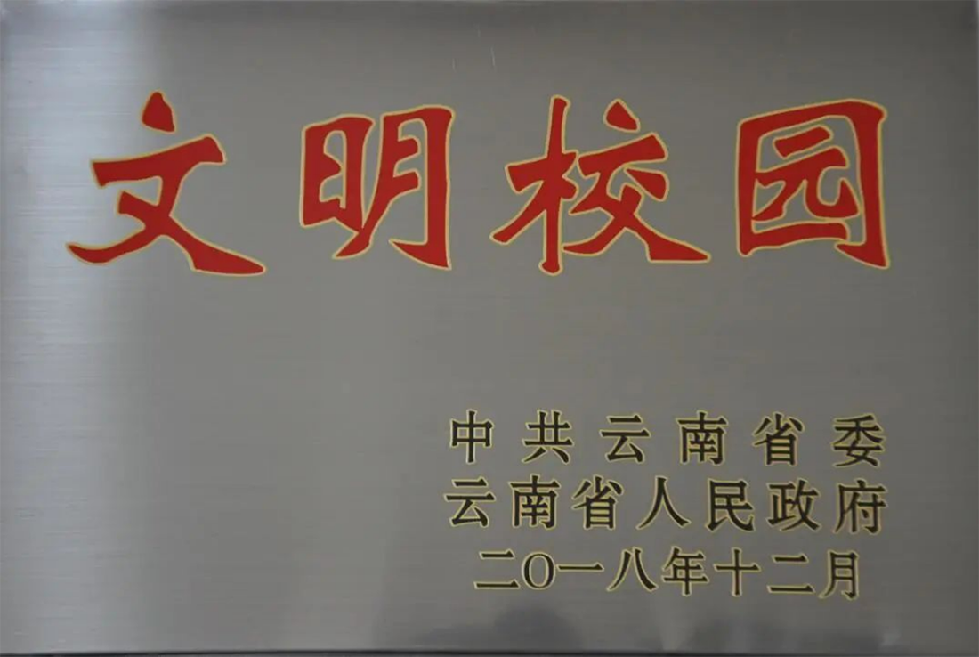 麗江文化旅游學(xué)院（原云南大學(xué)旅游文化學(xué)院）2022年專科招生簡章