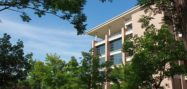 我的大學(xué)-大學(xué)志