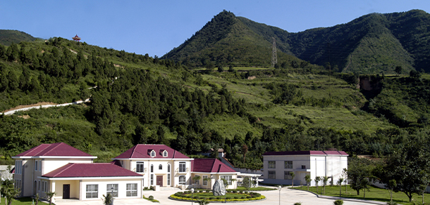 我的大學-大學志