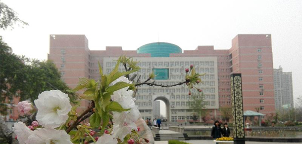 我的大學(xué)-大學(xué)志