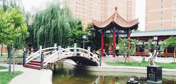 我的大學(xué)-大學(xué)志