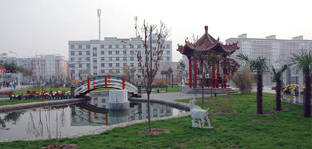 我的大學(xué)-大學(xué)志