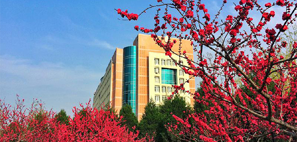 我的大學(xué)-大學(xué)志