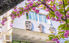 文化標(biāo)識(shí)：校名題寫 / ?；赵O(shè)計(jì)
