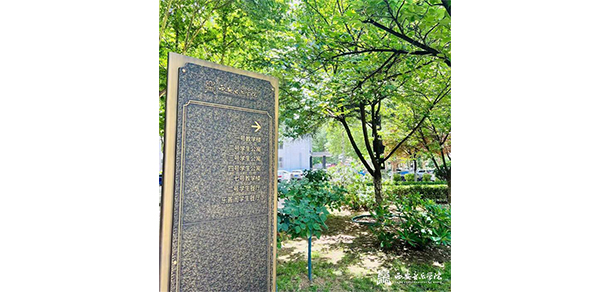 我的大學(xué)-大學(xué)志