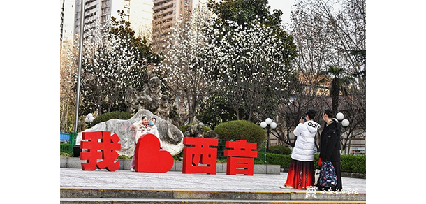 我的大學(xué)-大學(xué)志