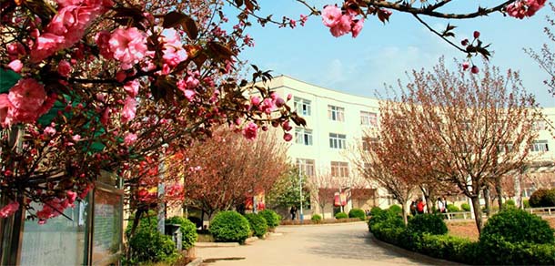 西安財經(jīng)大學行知學院 - 最美院校