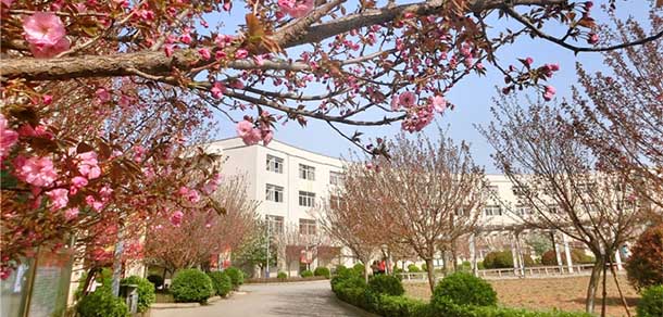 西安財經(jīng)大學行知學院 - 最美院校