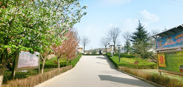 西安財經(jīng)大學行知學院 - 最美大學