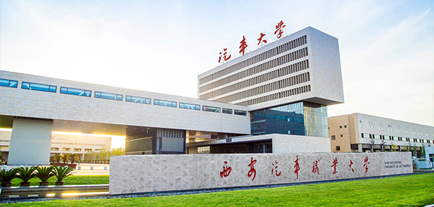 我的大學(xué)-大學(xué)志