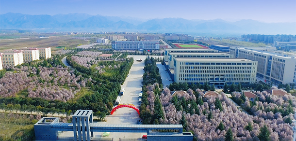 我的大學(xué)-大學(xué)志