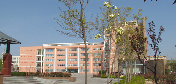 我的大學-大學志