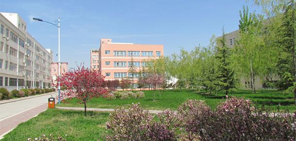 我的大學-大學志