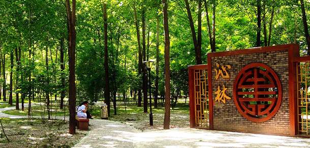 西安醫(yī)學(xué)高等?？茖W(xué)校 - 最美大學(xué)