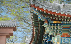 2025年強(qiáng)基計(jì)劃招生簡章