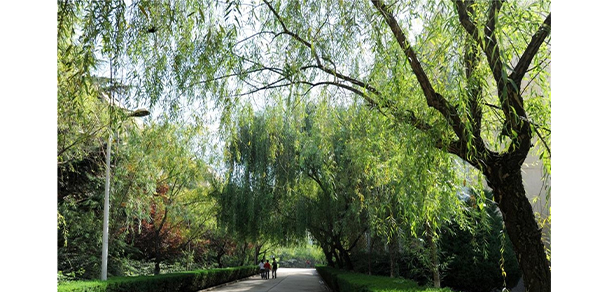 天水師范大學(xué) - 最美大學(xué)