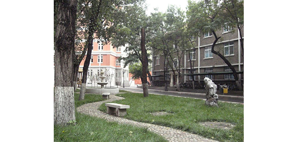 我的大學(xué)-大學(xué)志