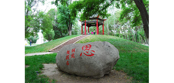 我的大學-大學志